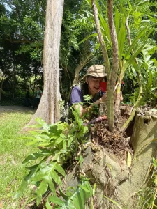 How laser tag games can be effective for corporate team building